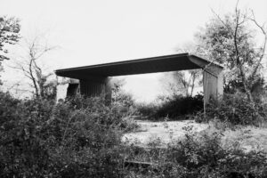 Temporaneamente sospeso: in conversazione con Giovanni Nicola Marotta