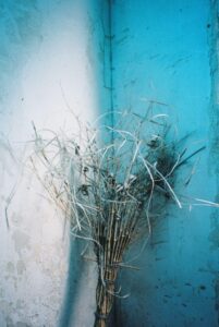 Jiayue Wang, “Interstice 02”, 2025, photography, 280 × 420 mm, courtesy of the artist